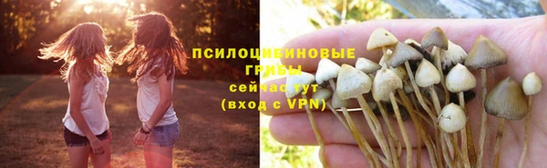 мяу мяу кристалл Остров