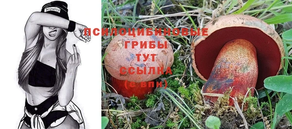 хмурый Осташков