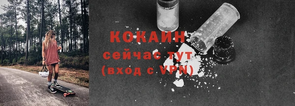 ALPHA PVP Осинники