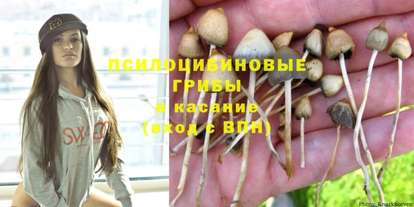 хмурый Осташков