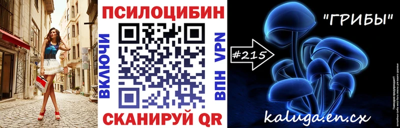 как найти наркотики  Старица  Псилоцибиновые грибы Psilocybe 